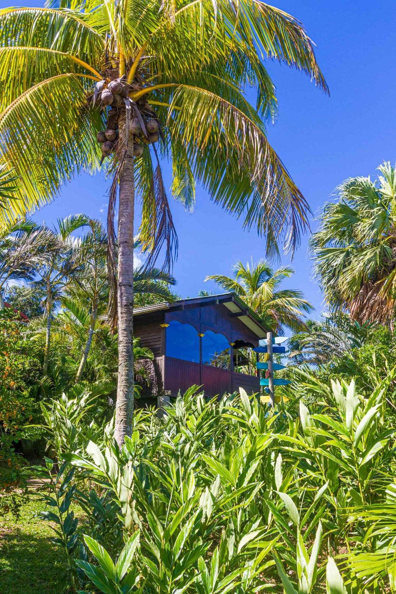 Piton Bungalows Ecolodges Deshaies Exterior foto