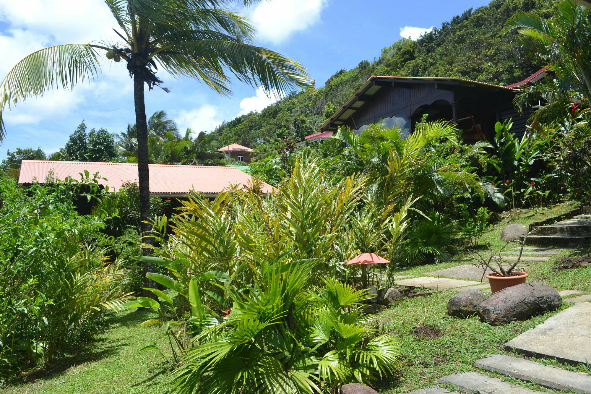 Piton Bungalows Ecolodges Deshaies Exterior foto